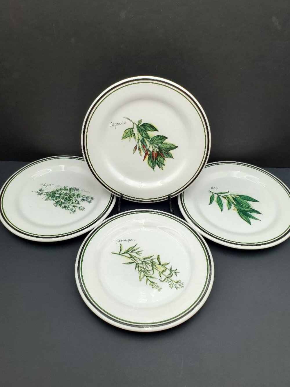 Williams-Sonoma Culinary Herbs Salad Plates Williams Sonoma WSO24 Dessert Plates